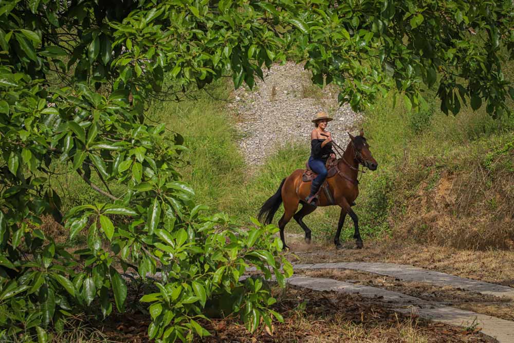 cabalgata