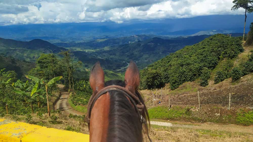 caballo