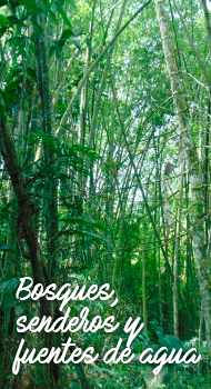 Bosques, senderos y fuentes de agua