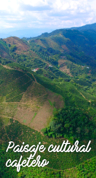 Paisaje Cultural Cafetero